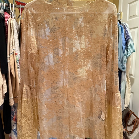 Jaded Gypsy- sheer Garden Tea Lace Top ***has a few small holes*** - Picture 4 of 4